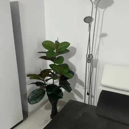 Apartment Yassen *